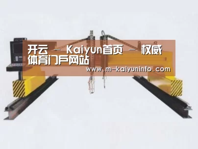 产品名称十七