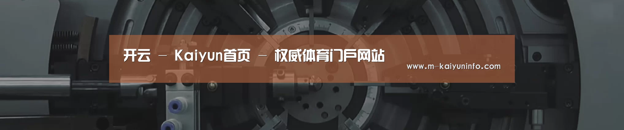 某某机械公司